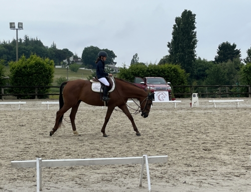 CONCOURS DRESSAGE 21 mai 2023 de belles récompenses